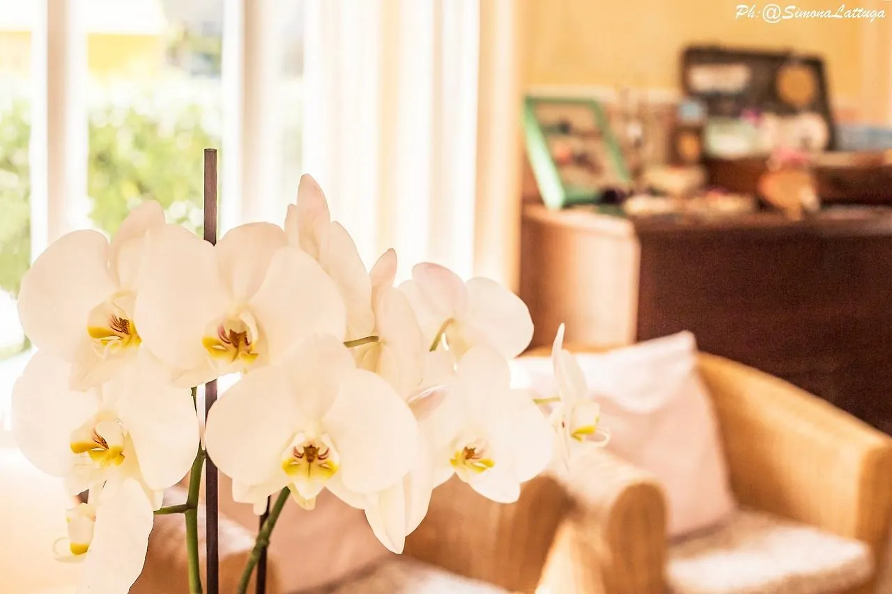 Hotel Ninfea Cervia